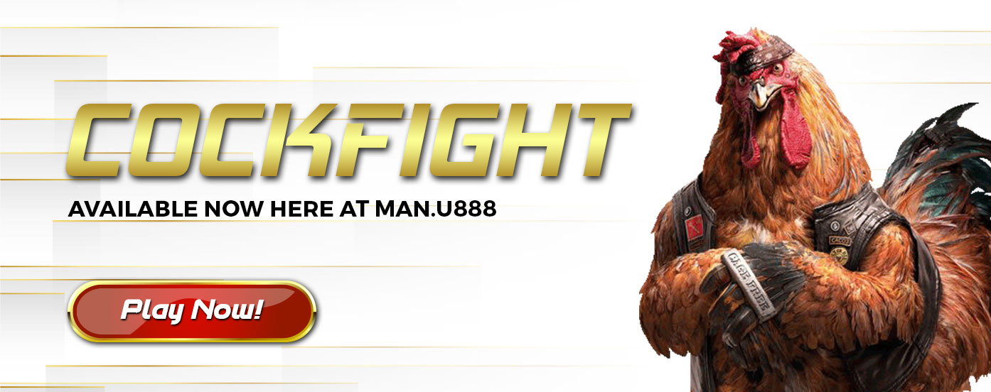 Cockfight-Banner.jpg